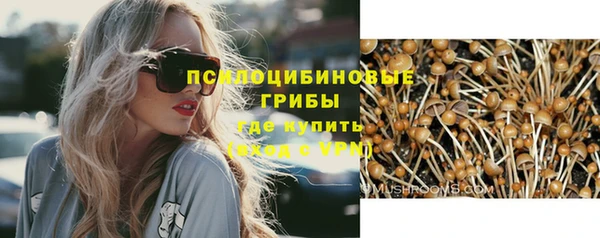герыч Бородино