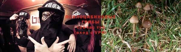 гидропоника Бронницы