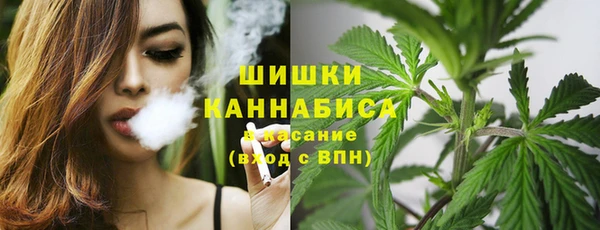 гидропоника Бронницы